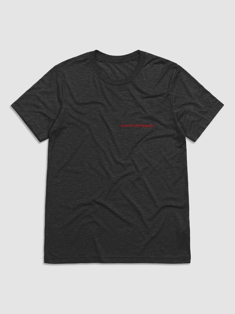 Here For The Dragons Scale Society Triblend T Shirt product image (1)
