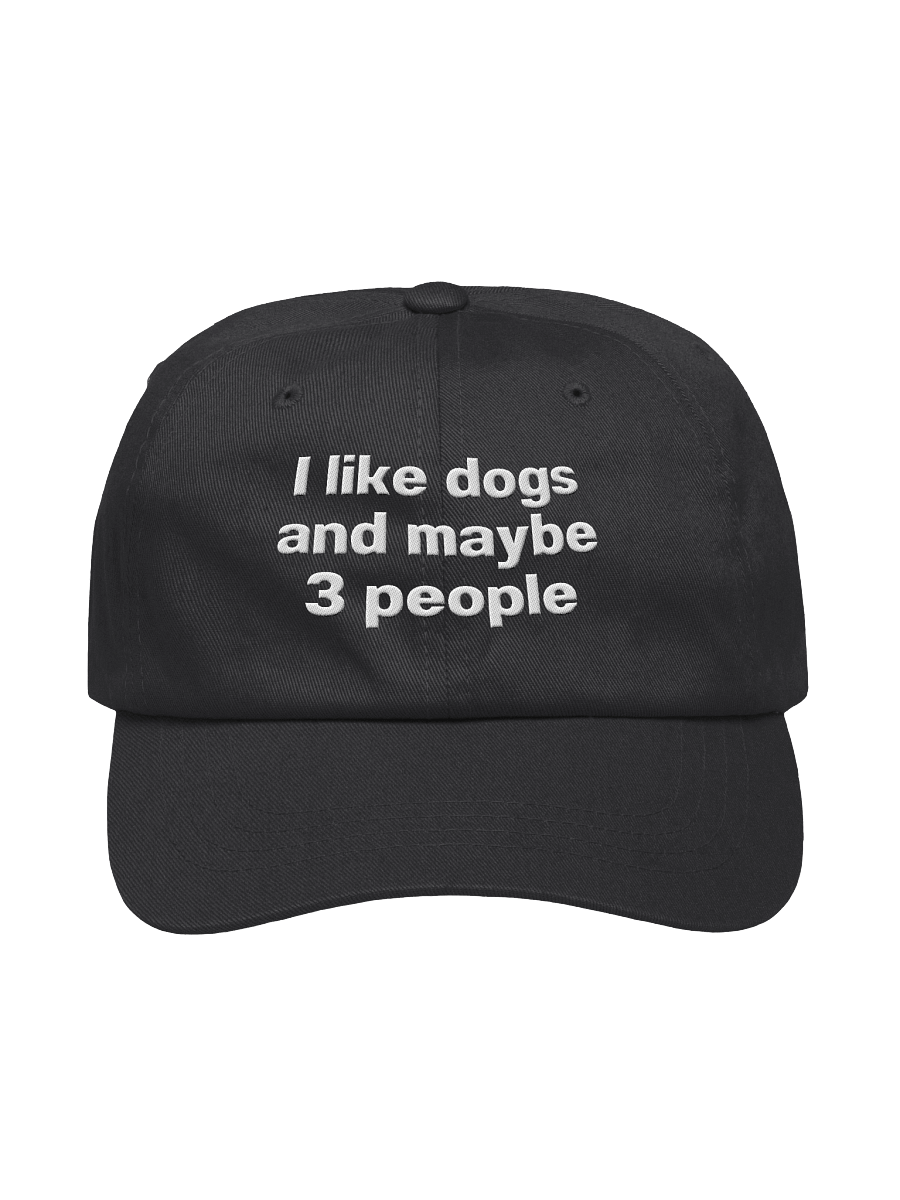 I like dogs and maybe 3 people Embroidered Hat product image (5)