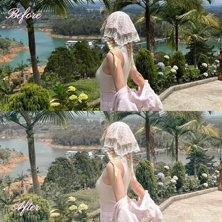 Antoinette Preset product image (7)