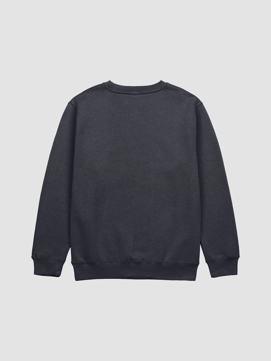 Rebellious Statement Sweatshirt | no purpose no freedom product image (14)