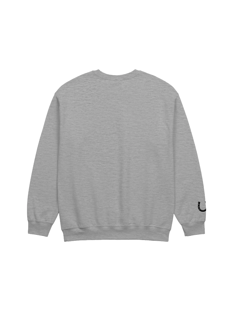 Trail Ride Good Vibes with Horseshoe Embroidered Sweatshirt product image (16)