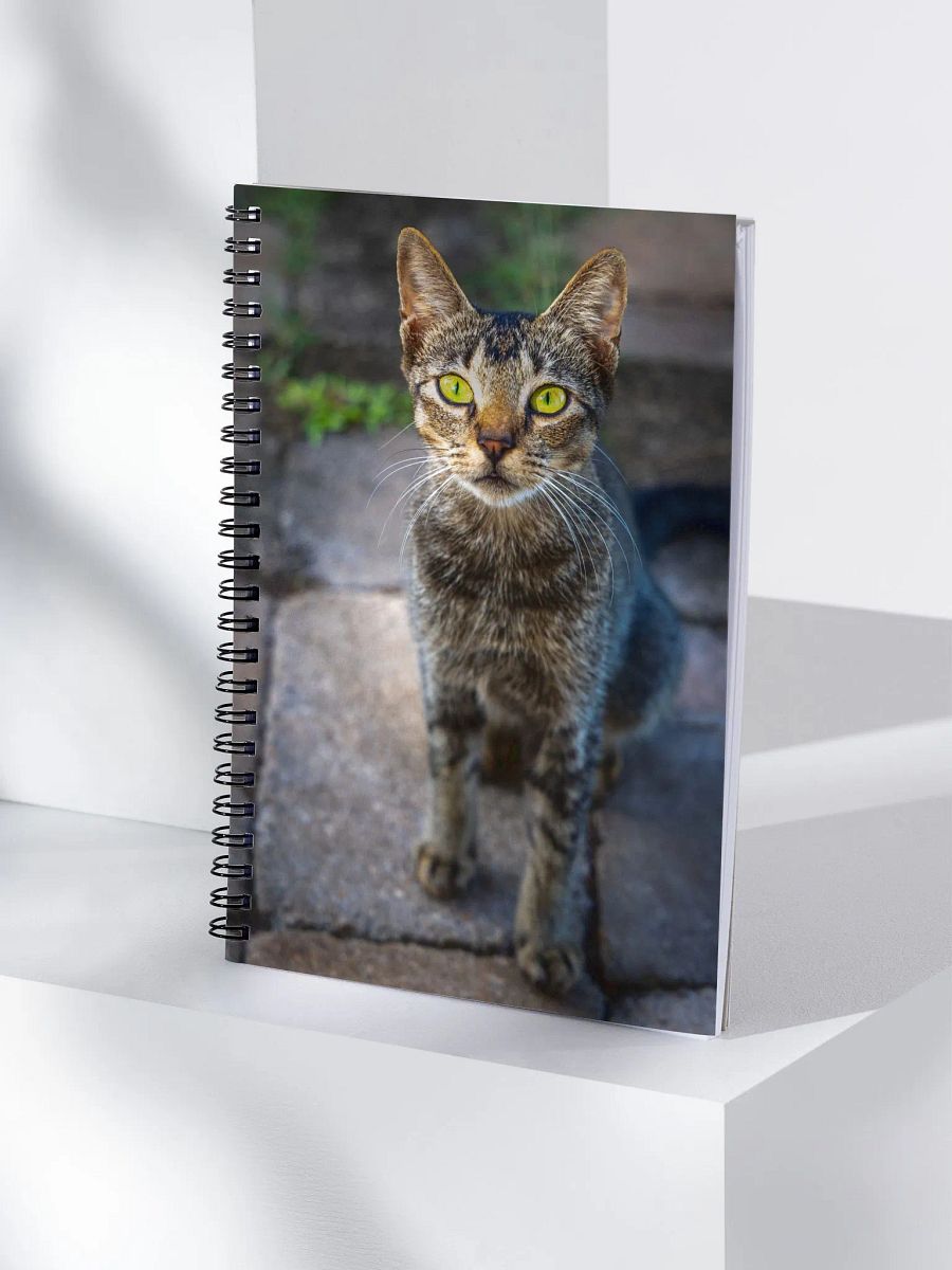 Feral Cat - Spiral Notebook product image (4)