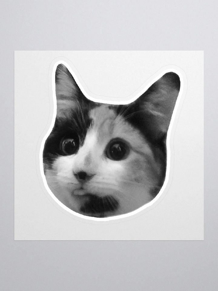 SPOINS - Sticker product image (1)