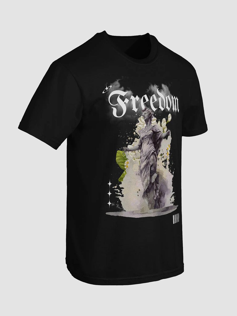 Freedom on the Way - Limited Edition product image (7)