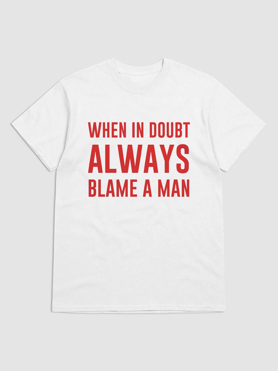 WHEN IN DOUBT ALWAYS BLAME A MAN T-Shirt product image (1)
