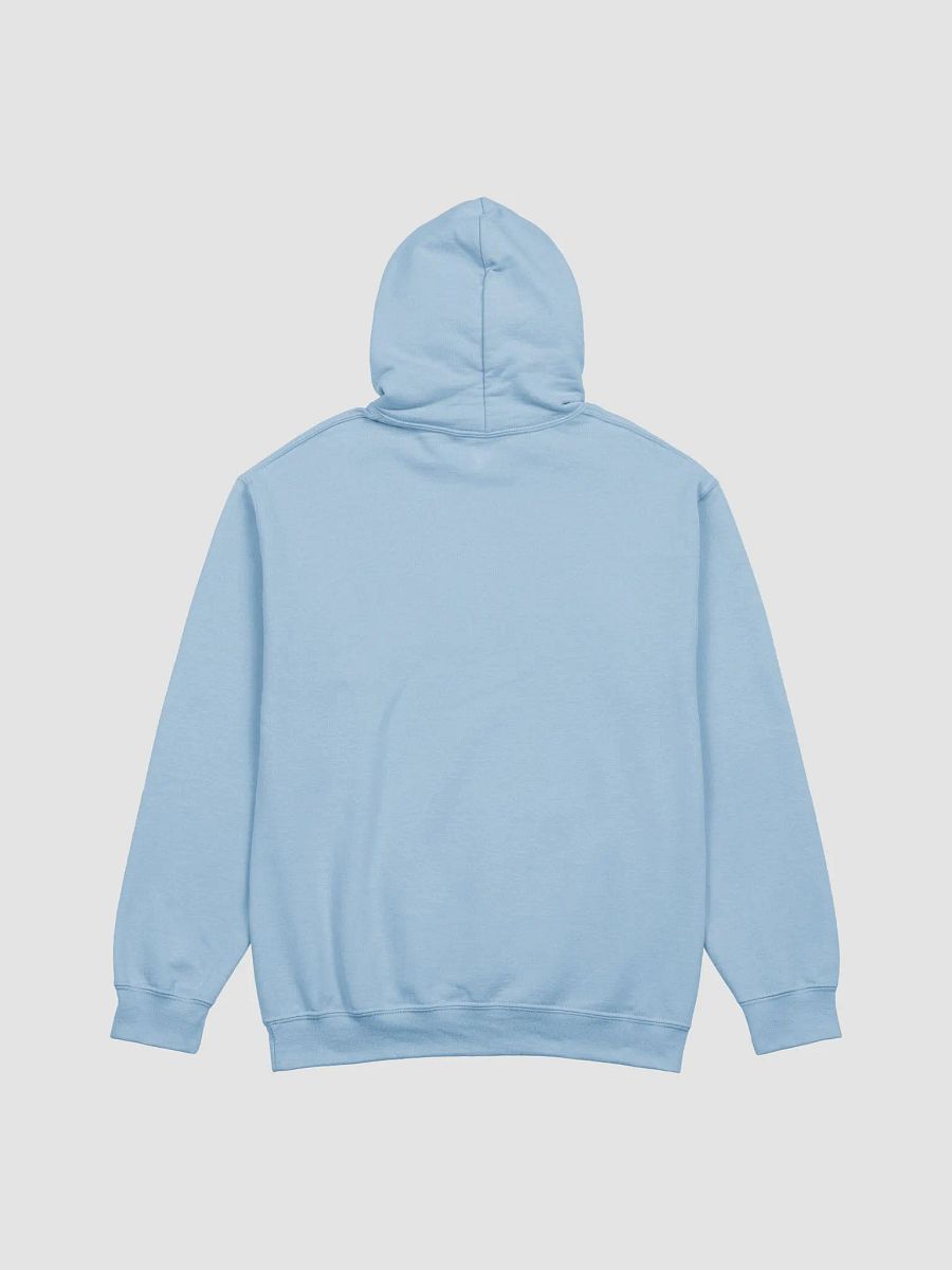 John 3:16 Midweight Outdoor Classic Hoodie product image (4)
