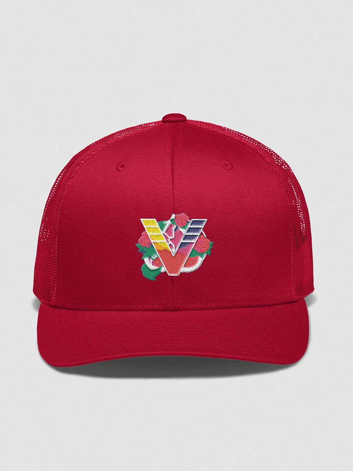 The V-Sports Hat product image (1)