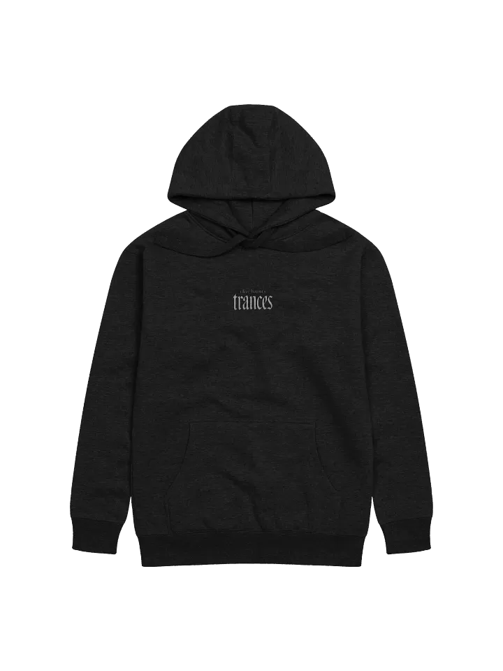 trances Title Logo Hoodie product image (1)