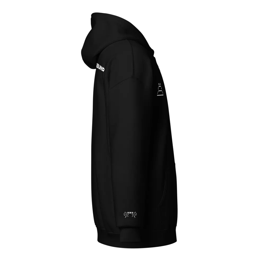 Fracturebound Hoodie product image (4)