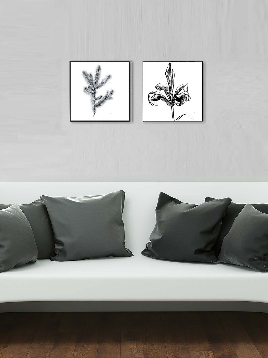 Nature's Embrace Canvas Print - Spruce Branch product image (8)