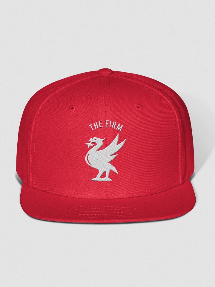 The Firm (Cap) product image (25)