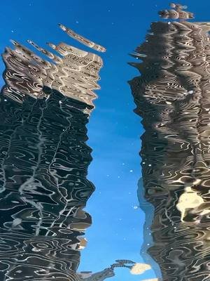 Sunny 68’ Friday 11/14/25 #yankeehotelfoxtrot #wilco #acquarium 