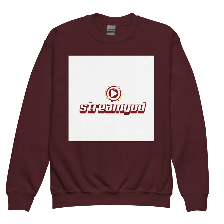 maroon youth STREAMGOD sweater product image (2)