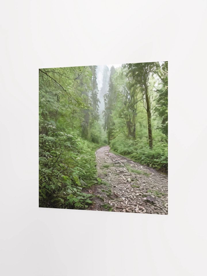 Enchanted Forest Path Poster product image (9)