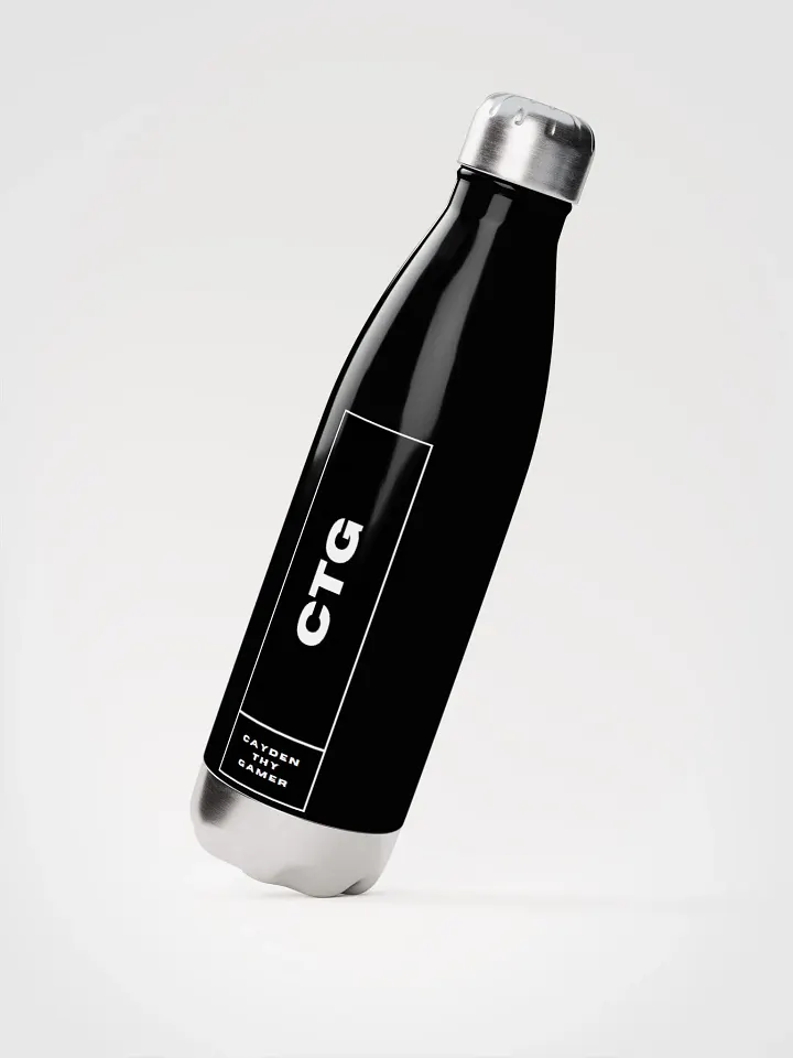 Stainless Steel Water Bottle | CTG product image (2)