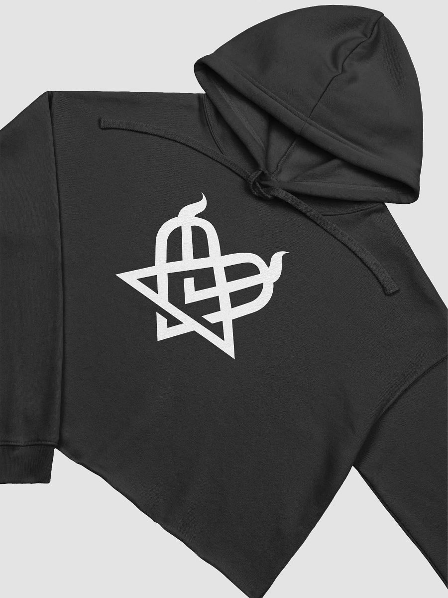 Sinagram Crop Hoodie- The Classic. product image (3)