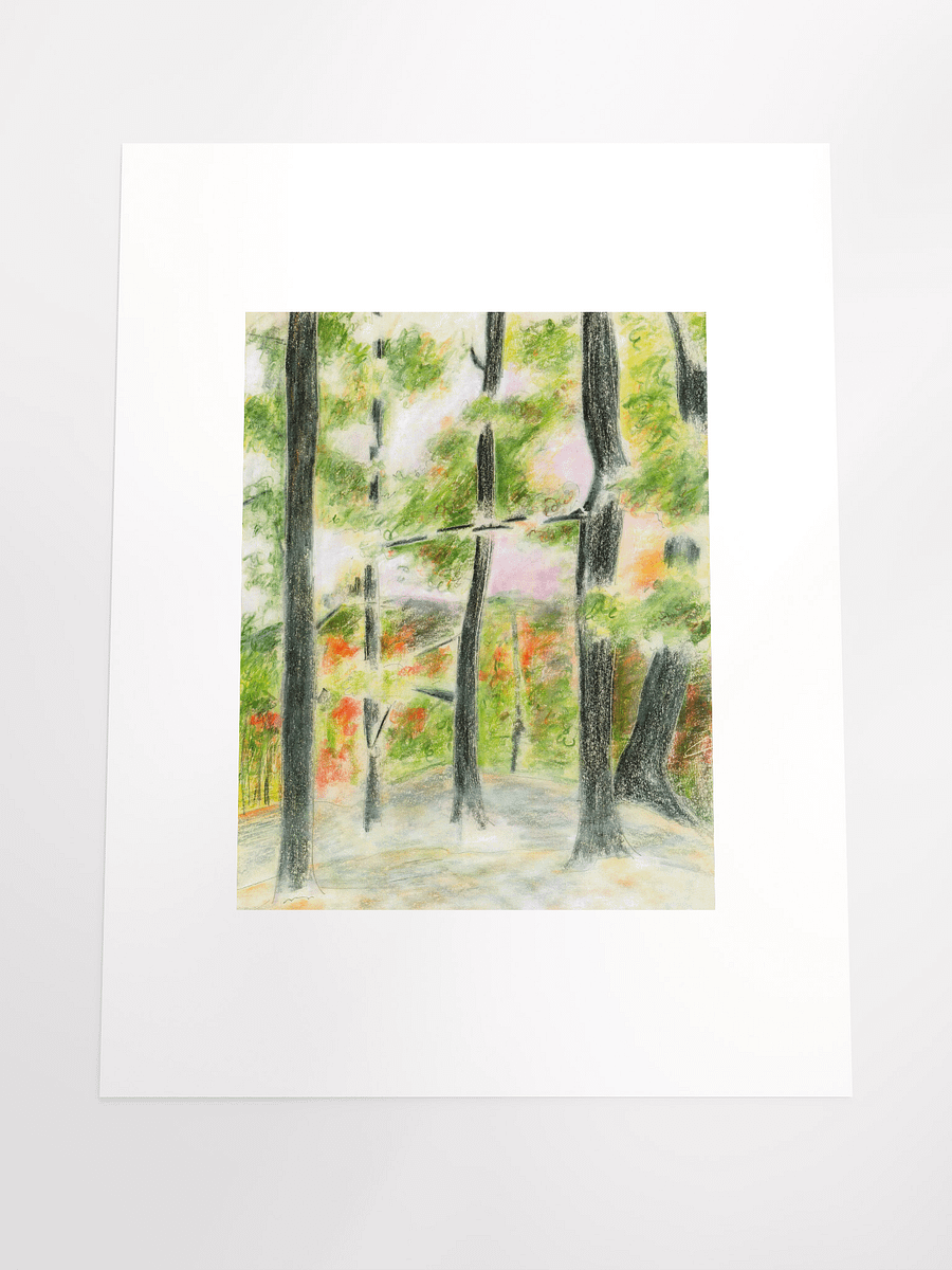 Tennessee Sunset KOA 10.05.85 print product image (5)