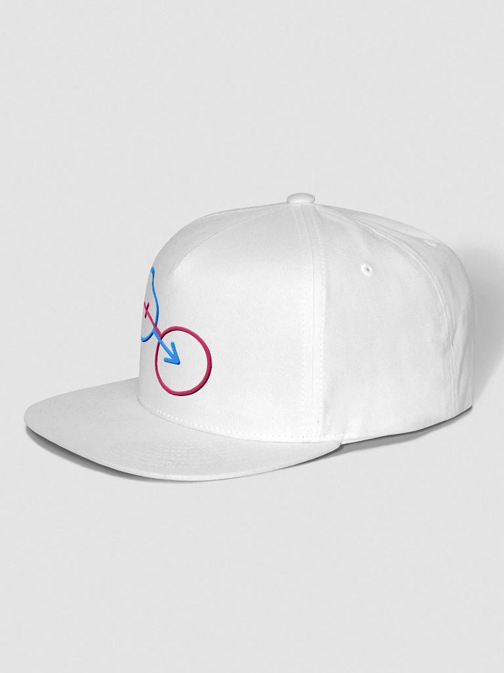 Natural Gender Connection Snapback Cap product image (2)