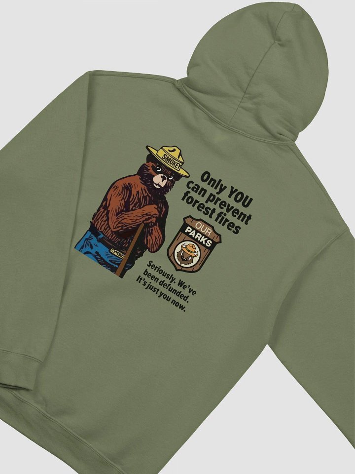 We've been DEFUNDED Smokey Our Parks Bear Pullover Hoodie Alt National Parks product image (1)