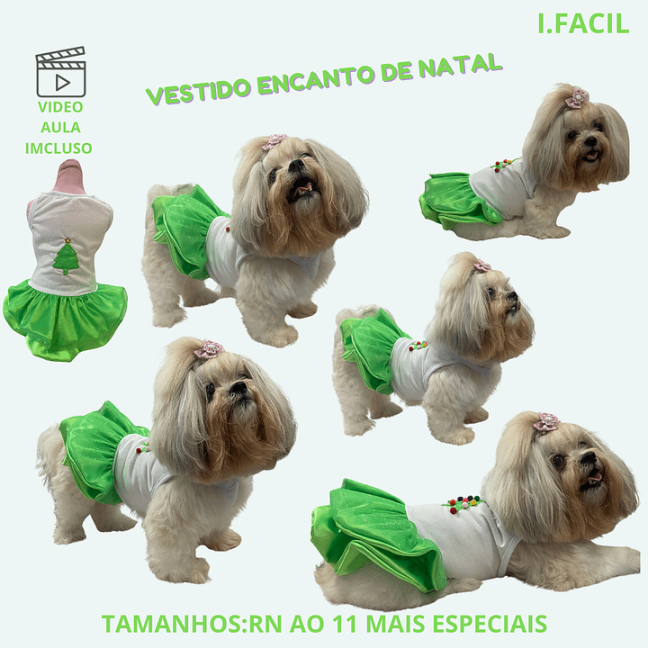 Vestido Encanto de Natal - Modelagem Pet PDF product image (1)