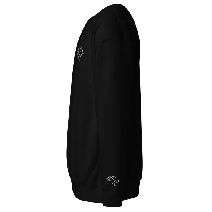 ChalkDunny Crew Neck Sweater Black product image (2)