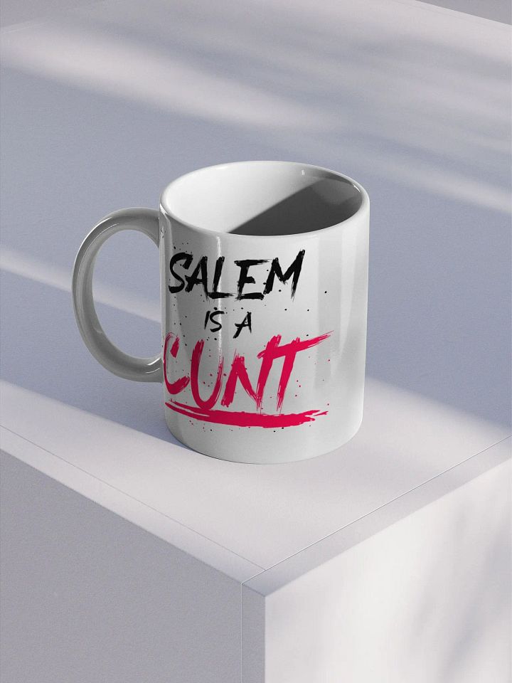 SALEM IS A C*NT [MUG] product image (1)
