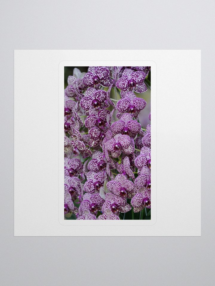 Orchid Elegance Kiss Cut Stickers product image (1)