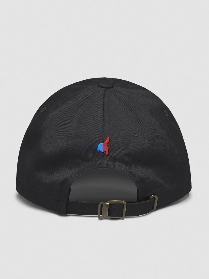 The Villain Cap product image (2)