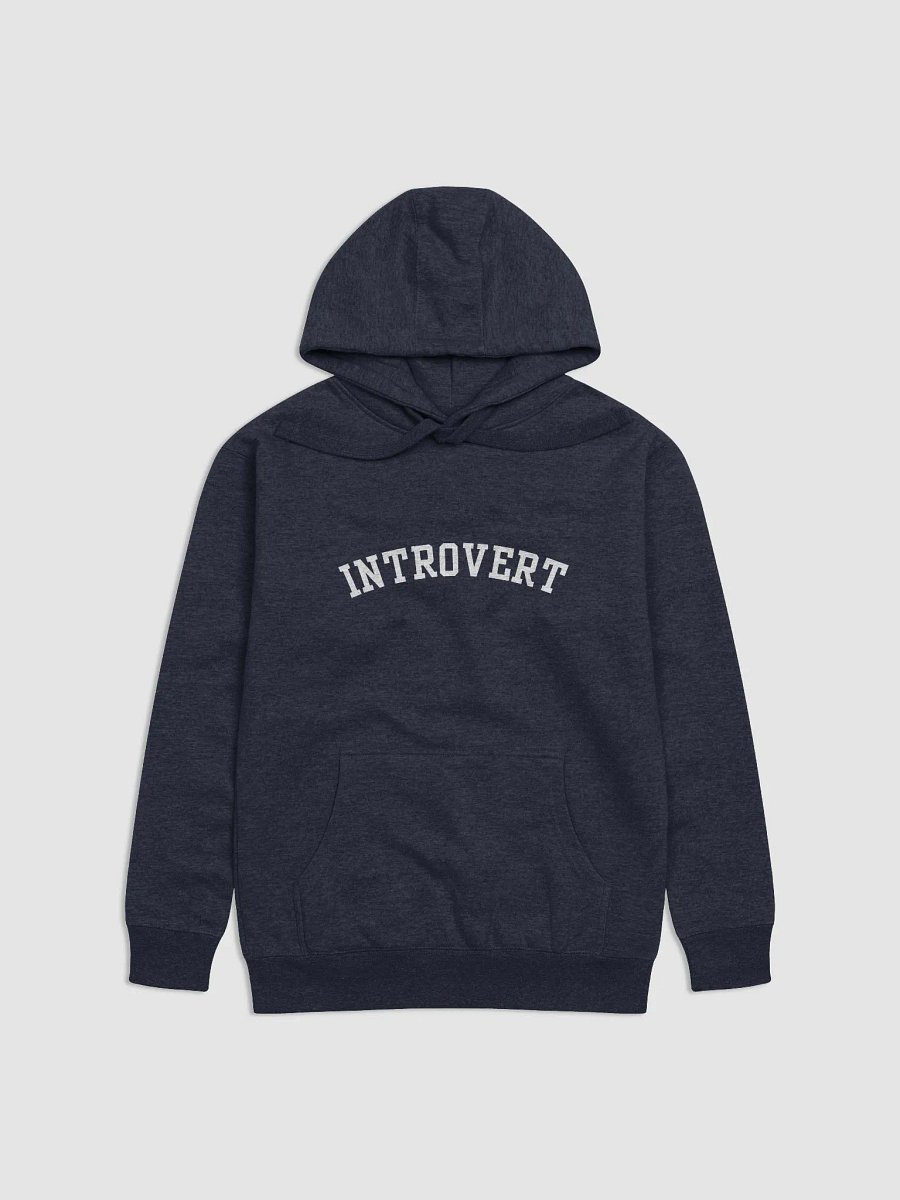 Introvert Hoodie product image (1)
