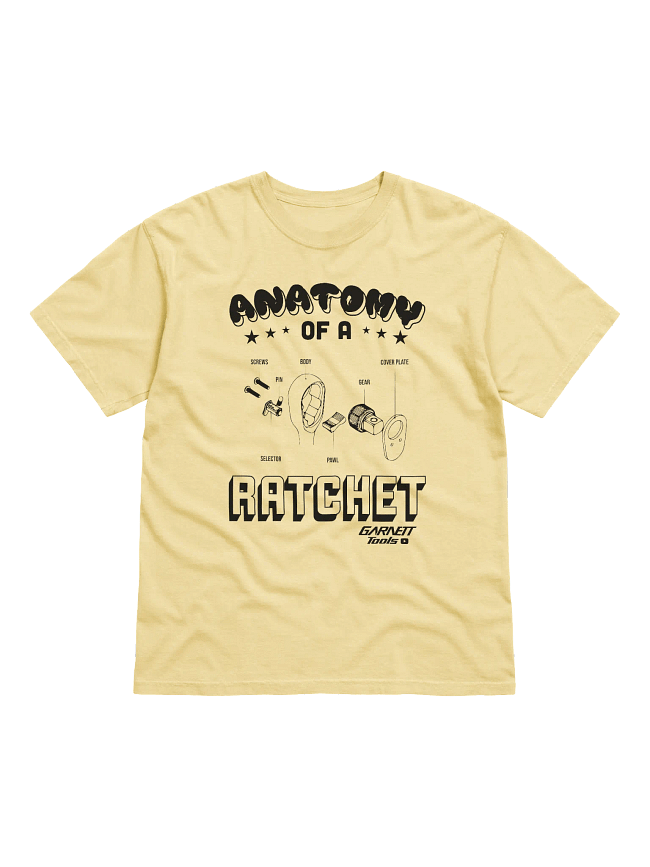 Anatomy