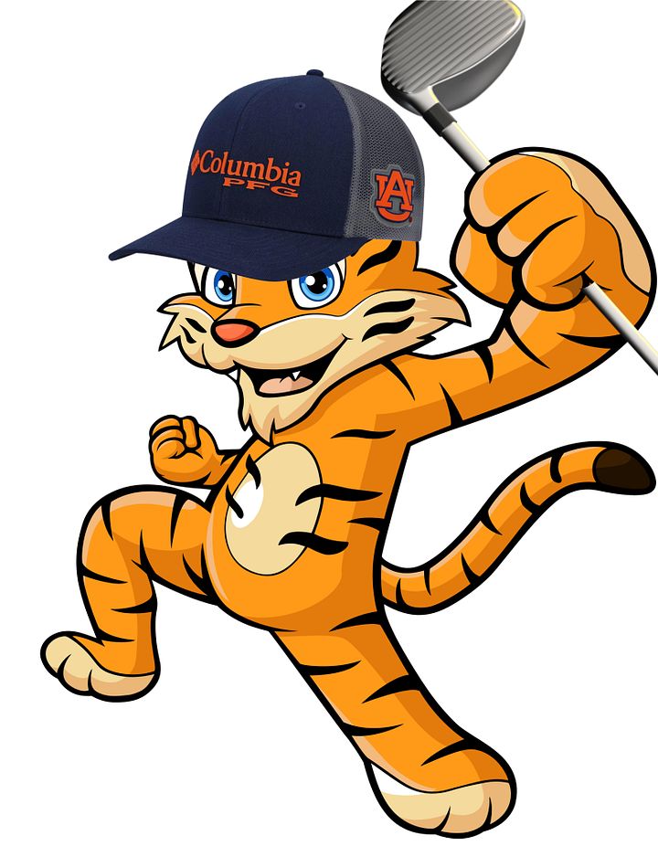 Auburn Tigers Columbia PFG Snapback Adjustable Hat - Navy product image (2)
