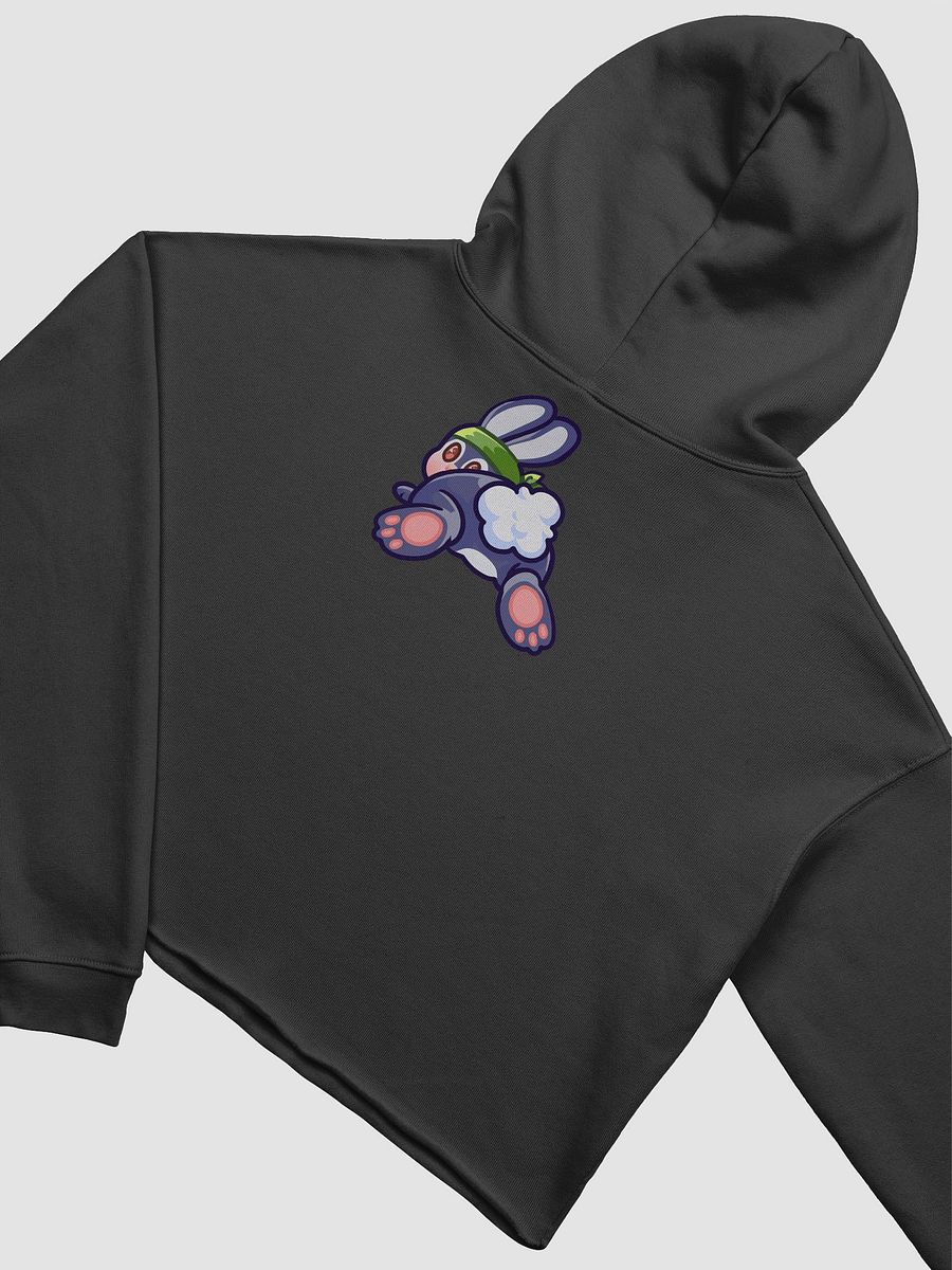 Ninja Monsta Logo Crop Hoodie product image (15)