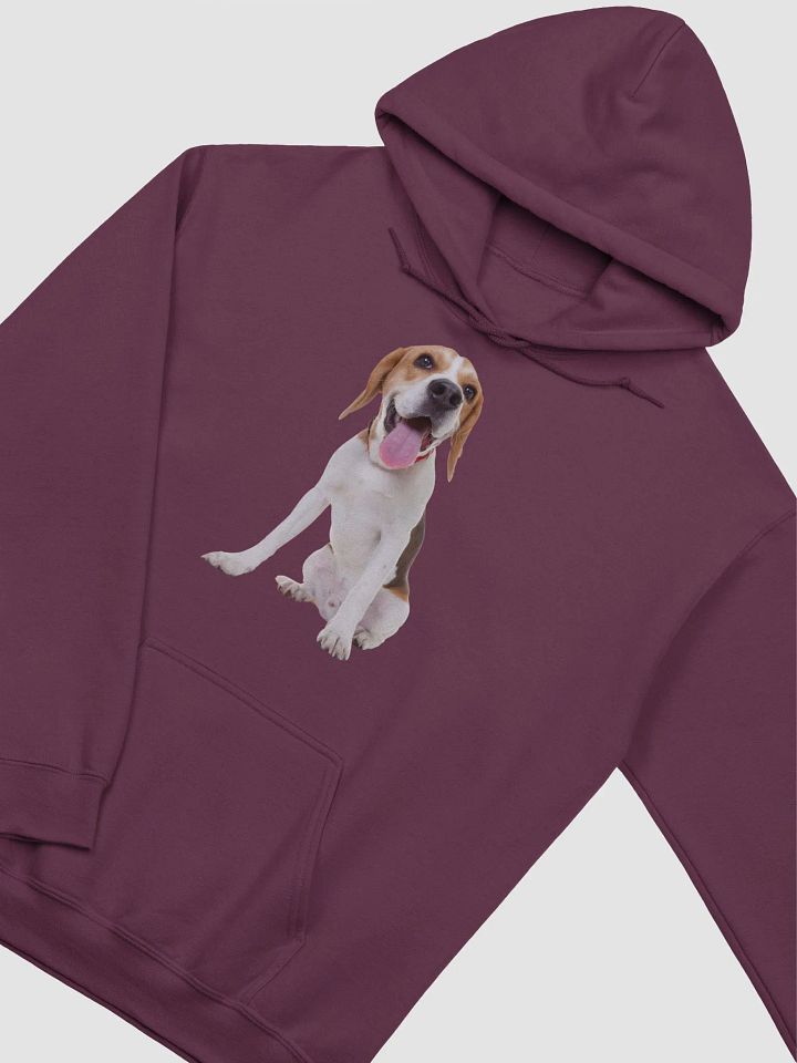 Unisex Beagle Hoodie – Cozy and Charming with Beagle Appeal product image (56)