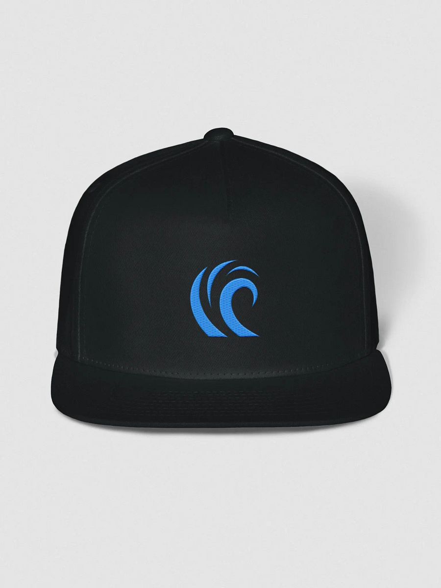 Diffraction Logo Snapback product image (1)
