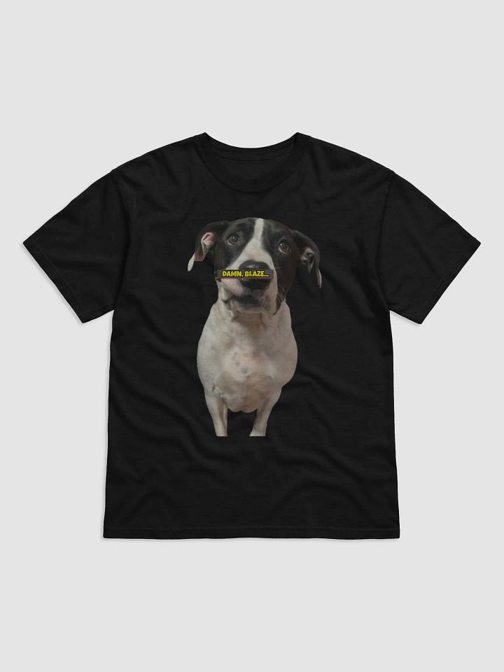 BLAZE A SWISHA Stylized T-Shirt product image (1)
