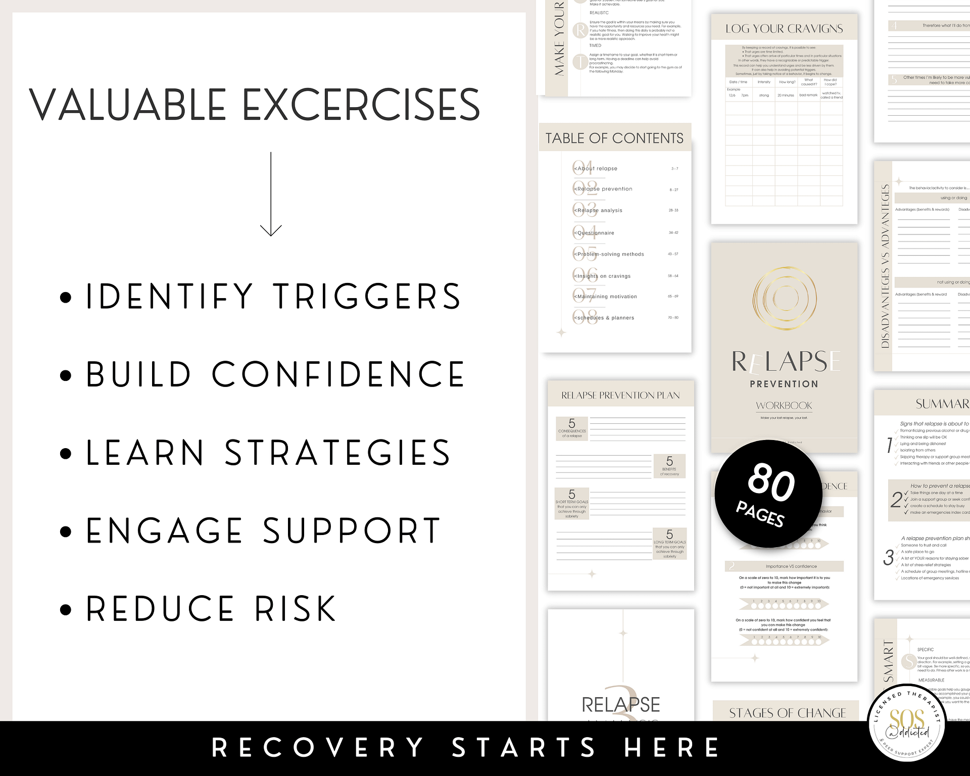 Relapse Prevention Plan Workbook for Addiction Recovery: Self-Help Tools & Therapist Resources product image (3)