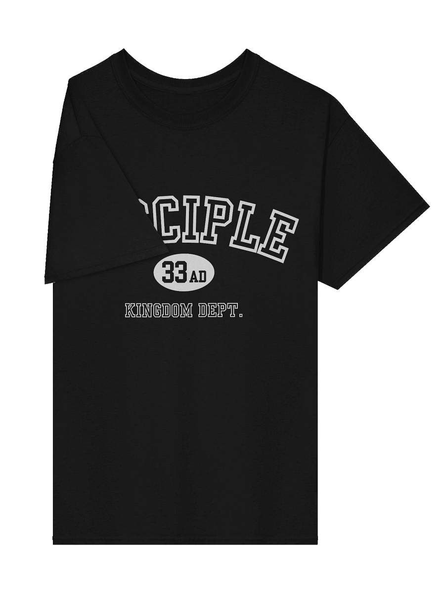 Disciple Kingdom Dept. Gildan Heavyweight Tee product image (16)