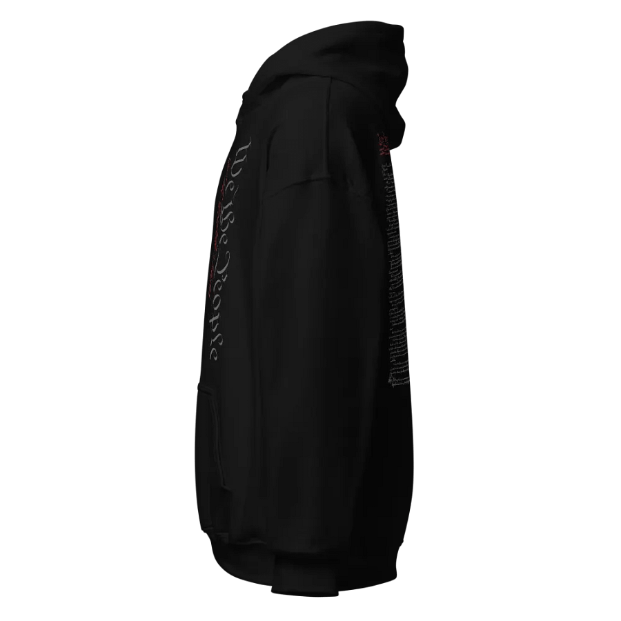 Constitution Onyx Hoodie product image (3)