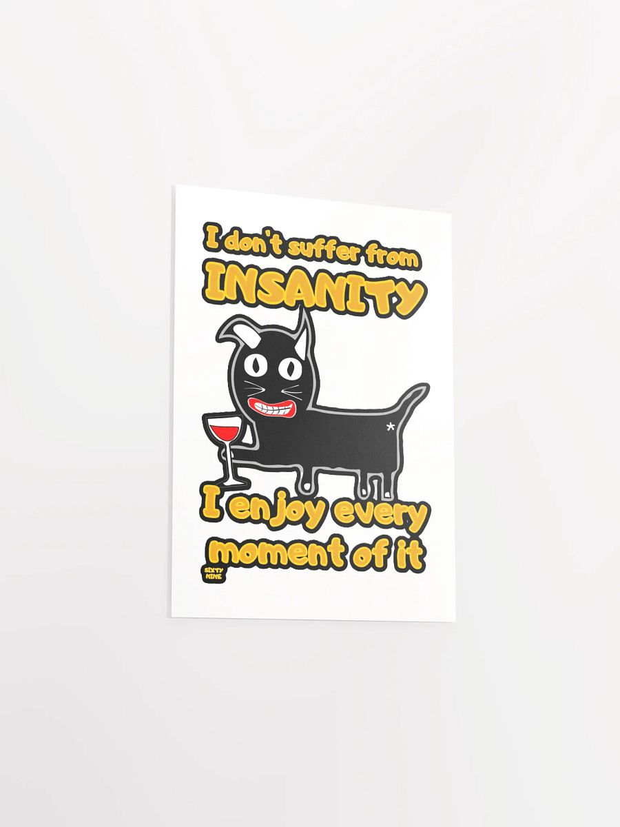 I DON'T SUFFER FROM INSANITY, I ENJOY EVERY MOMENT OF IT product image (13)