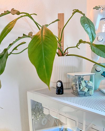 Hope everyone enjoyed their weekend 🌿

I’ve been having so much fun playing Tiny Glade, the way that game has me in a chokeho...