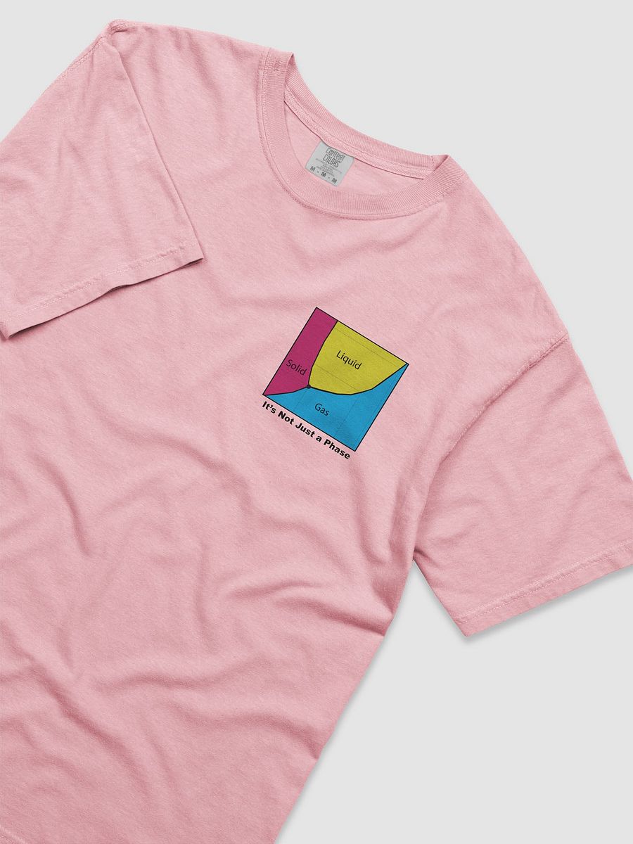 It's Not Just a Phase- Pan T Shirt product image (21)