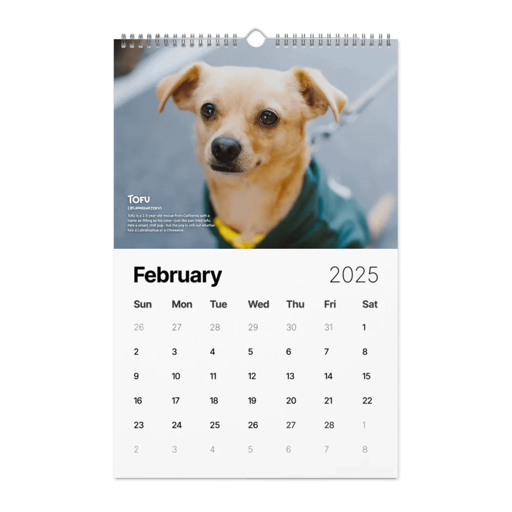 Official 2025 Calendar product image (5)