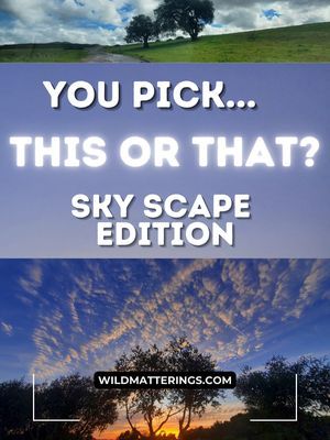 THIS OR THAT Sky Scape Edition... Choose your favorite from two different landscapes.  Top or Bottom? This or That?  If you like the photographs, check out our 2025 calendar at www.wildmatterings.com  Thank you for your views and support! Wander about and enjoy all the nature matterings!  #ThisOrThat #SkyScape #LandscapePhotography #NatureLovers #NaturePhotography #chooseyourfavoritee #Wanderlust #TravelInspiration #ExploreNature #ScenicViews #NatureLover #SkyLovers #PhotoChallenge #WildernessCulture #NatureMatters #NatureAesthetic #Cloudscape #NatureInspired #2025Calendar #SupportCreators