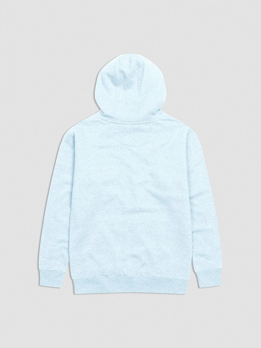 Picky Boys Embroidered Hoodie (5 Colors) product image (6)