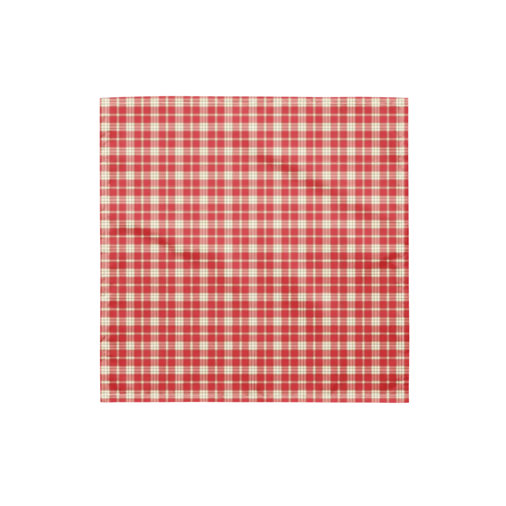 Coral Pink Plaid Bandana product image (4)