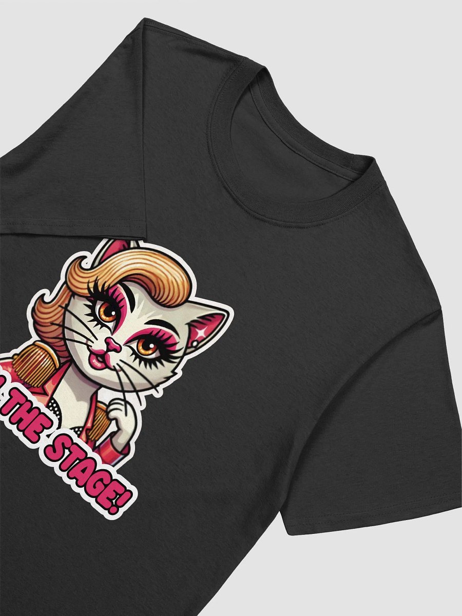 Own The Stage! T-Shirt (Unisex) product image (16)