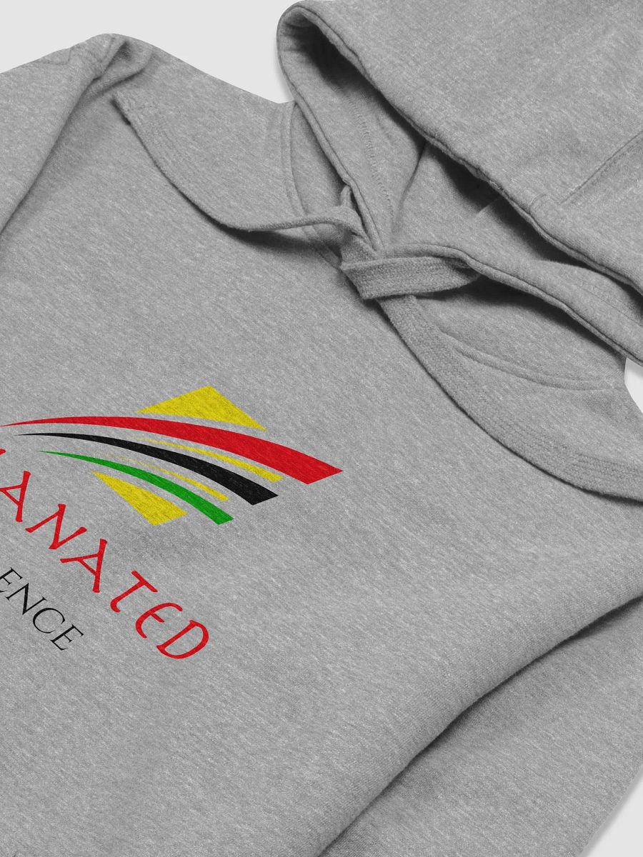 Melanated Excellence Hoodie product image (6)