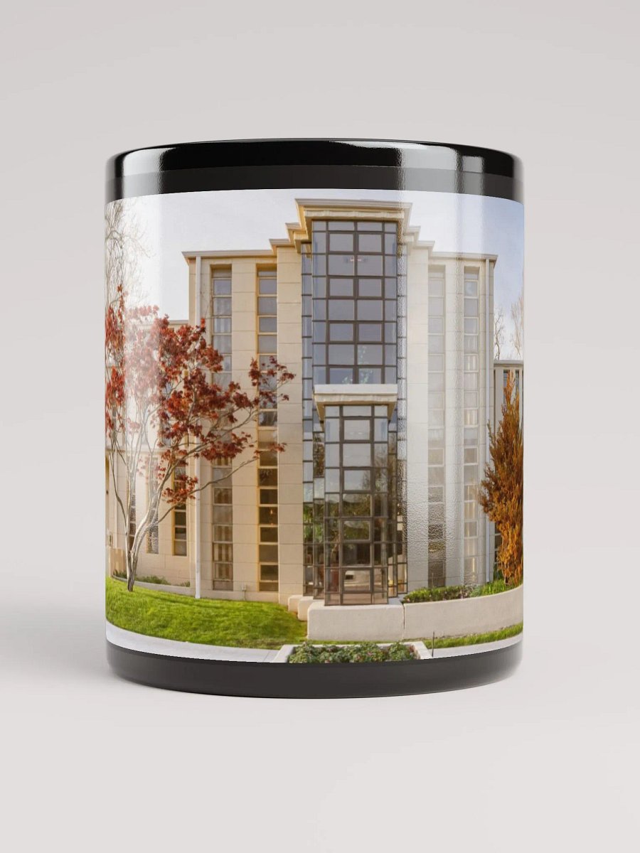 RICHARD LLOYD JONES HOUSE product image (5)