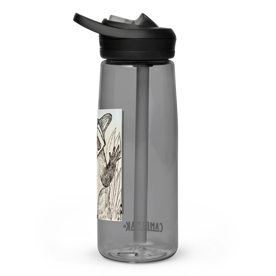 Wild Guides - Racoon product image (4)