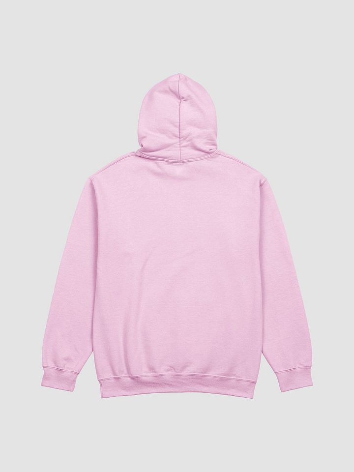 Plague Hoodie Text Only product image (2)